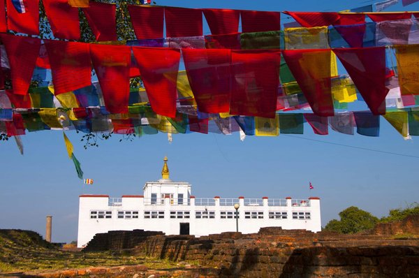Food truck à Reims : demandez un devis avant de privatiser