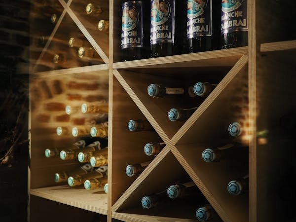 Comment choisir la meilleure cave à vin pour votre collection
