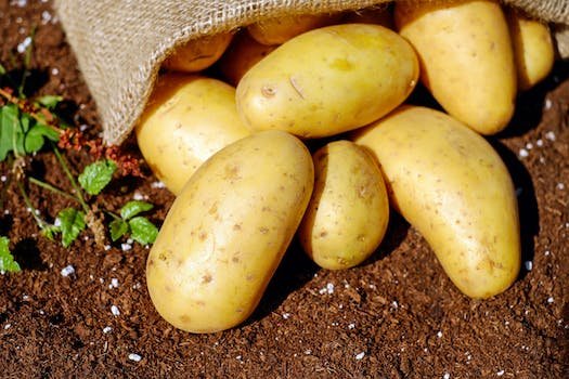 Quelles sont les différentes méthodes de conservation de la patate douce ?